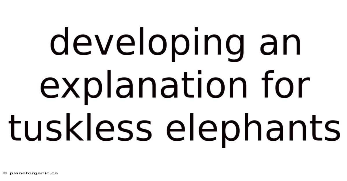 Developing An Explanation For Tuskless Elephants