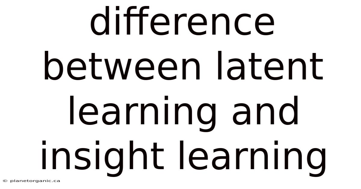 Difference Between Latent Learning And Insight Learning