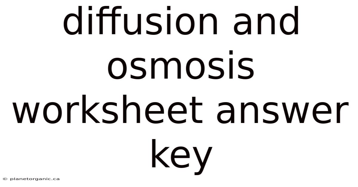 Diffusion And Osmosis Worksheet Answer Key
