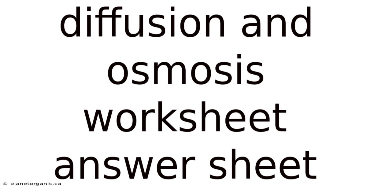Diffusion And Osmosis Worksheet Answer Sheet