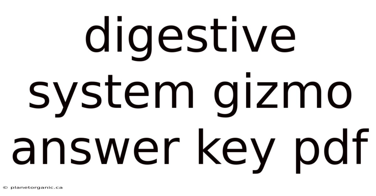 Digestive System Gizmo Answer Key Pdf