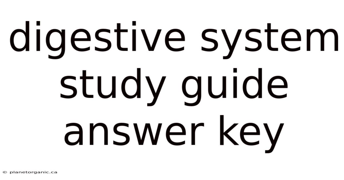 Digestive System Study Guide Answer Key