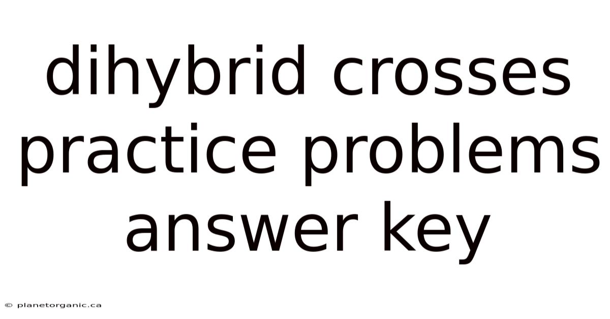 Dihybrid Crosses Practice Problems Answer Key