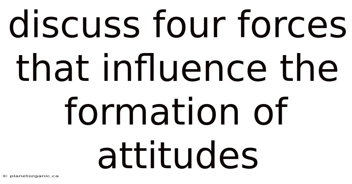 Discuss Four Forces That Influence The Formation Of Attitudes