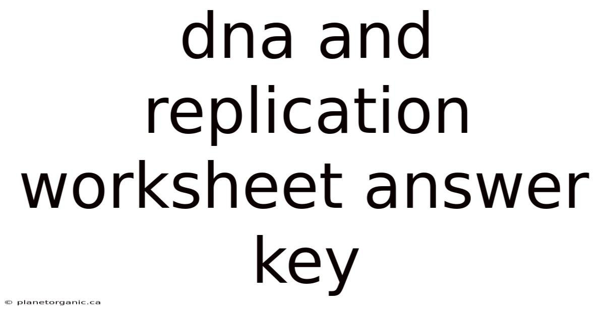 Dna And Replication Worksheet Answer Key
