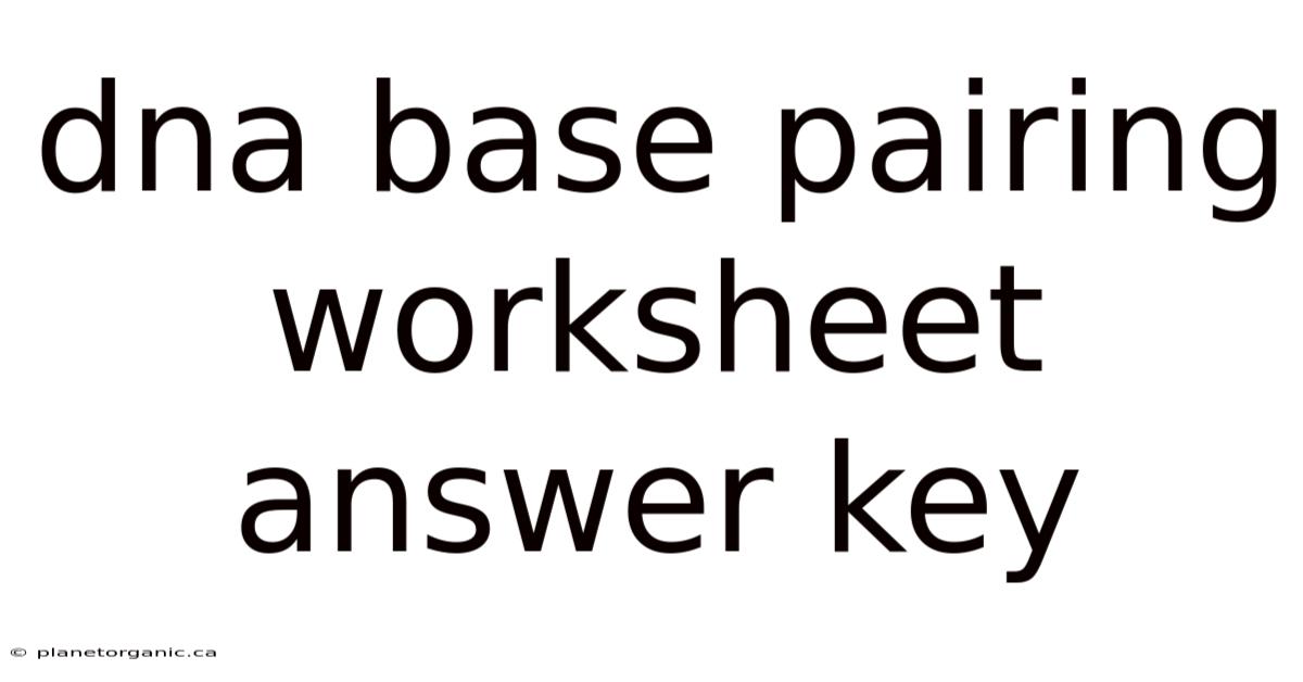 Dna Base Pairing Worksheet Answer Key