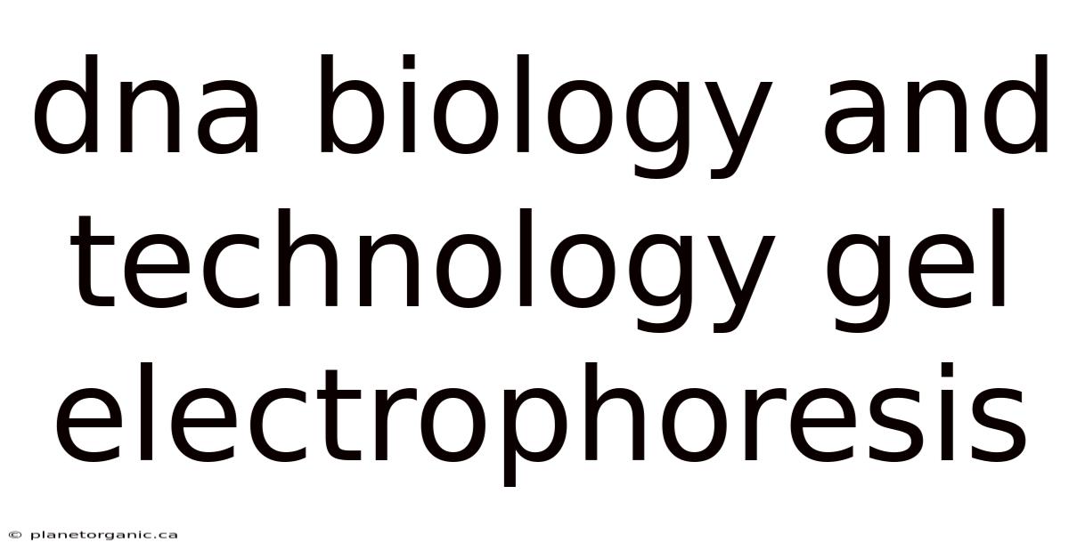 Dna Biology And Technology Gel Electrophoresis