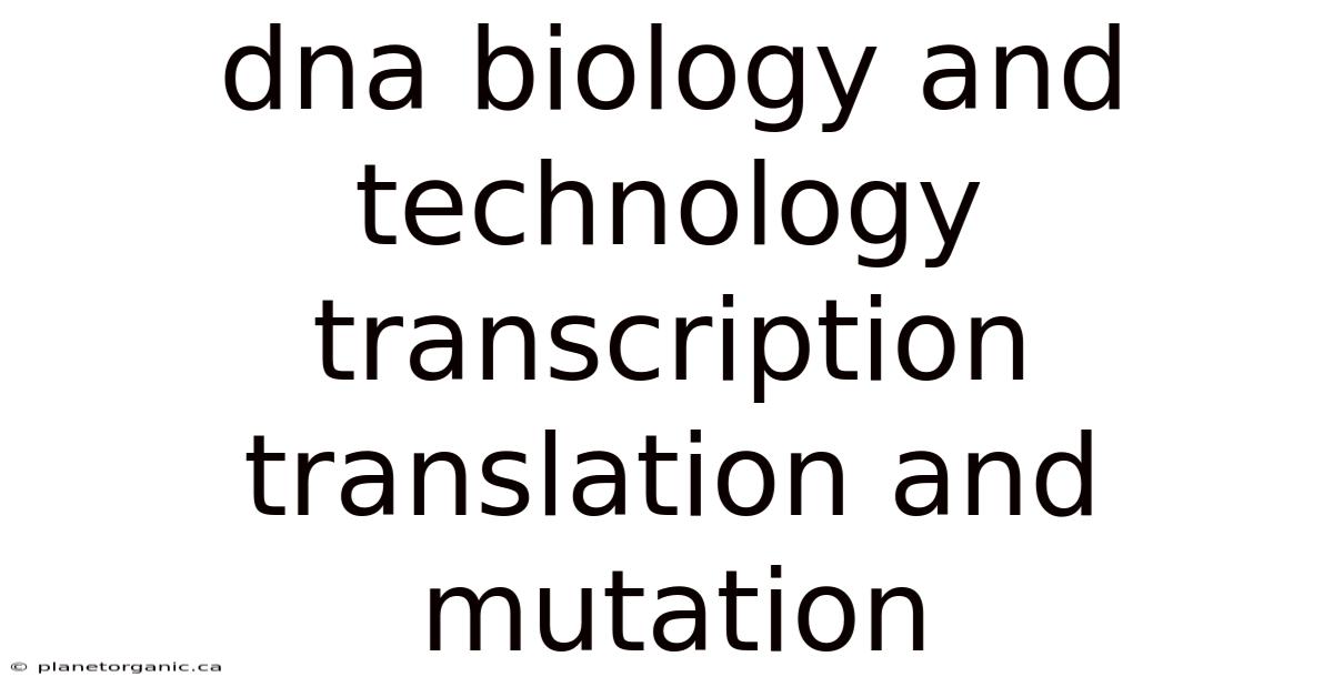 Dna Biology And Technology Transcription Translation And Mutation