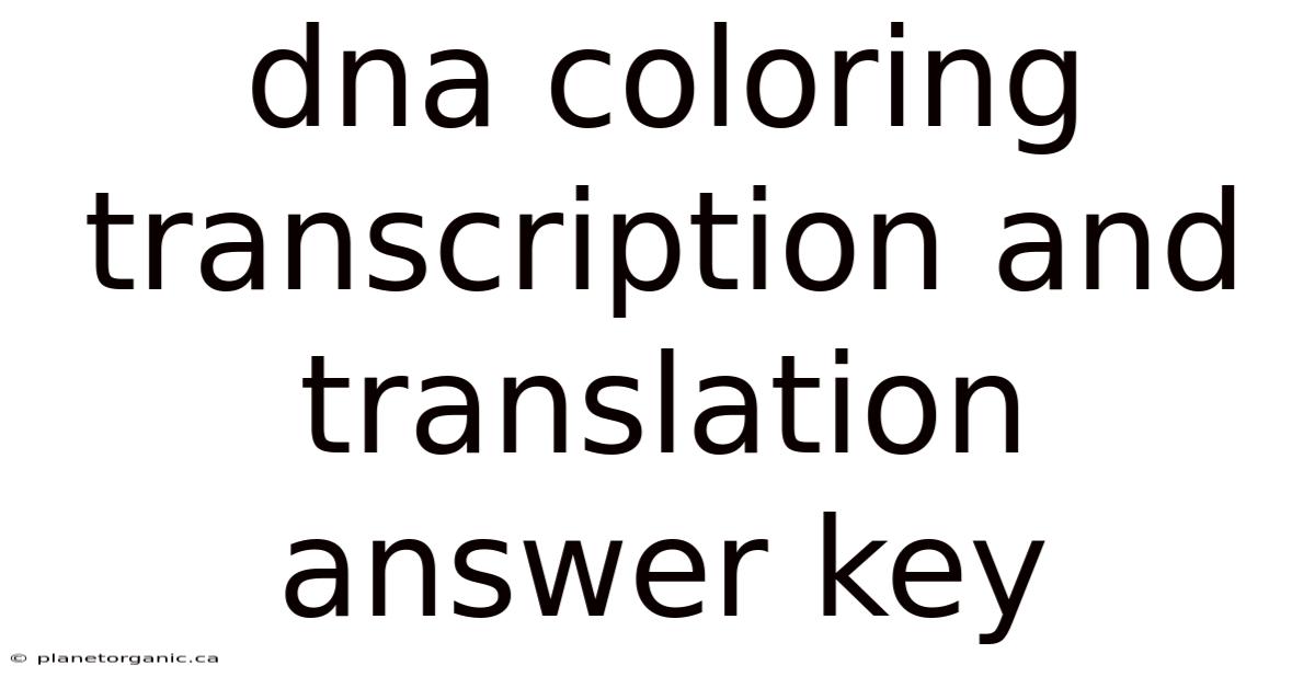 Dna Coloring Transcription And Translation Answer Key
