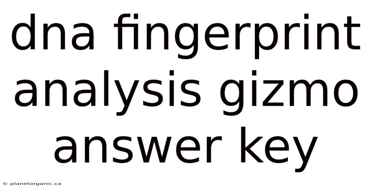 Dna Fingerprint Analysis Gizmo Answer Key