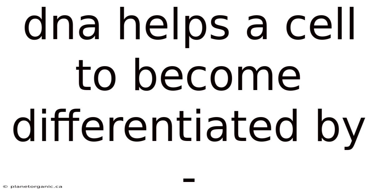 Dna Helps A Cell To Become Differentiated By -