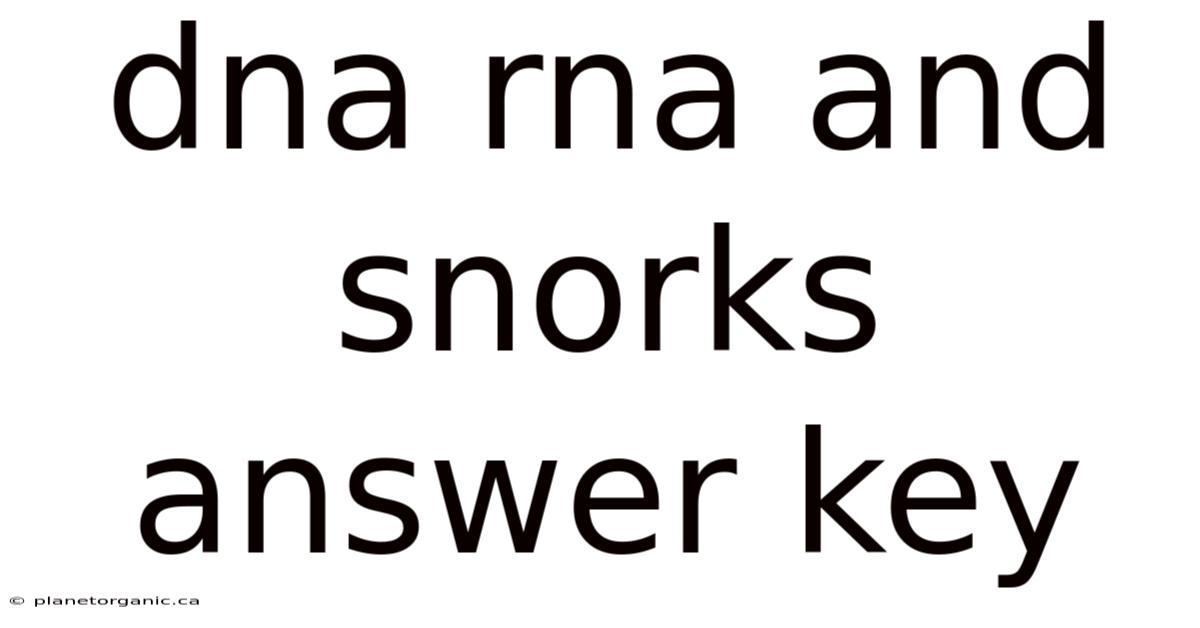 Dna Rna And Snorks Answer Key