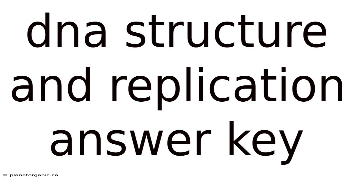 Dna Structure And Replication Answer Key
