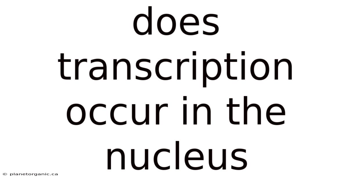 Does Transcription Occur In The Nucleus