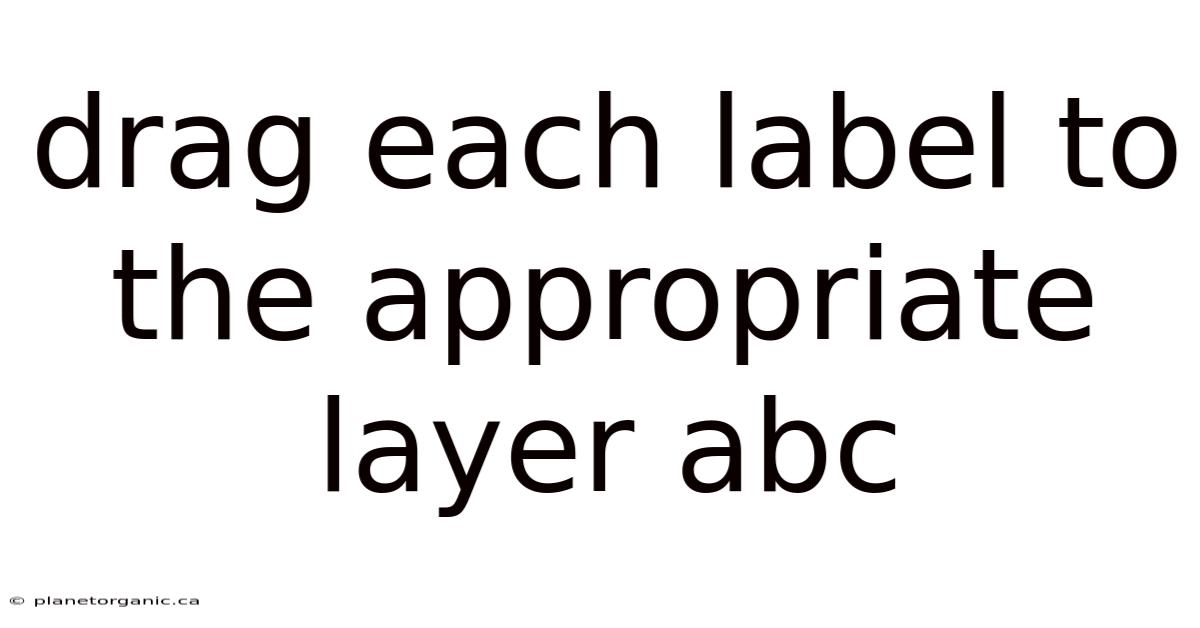 Drag Each Label To The Appropriate Layer Abc