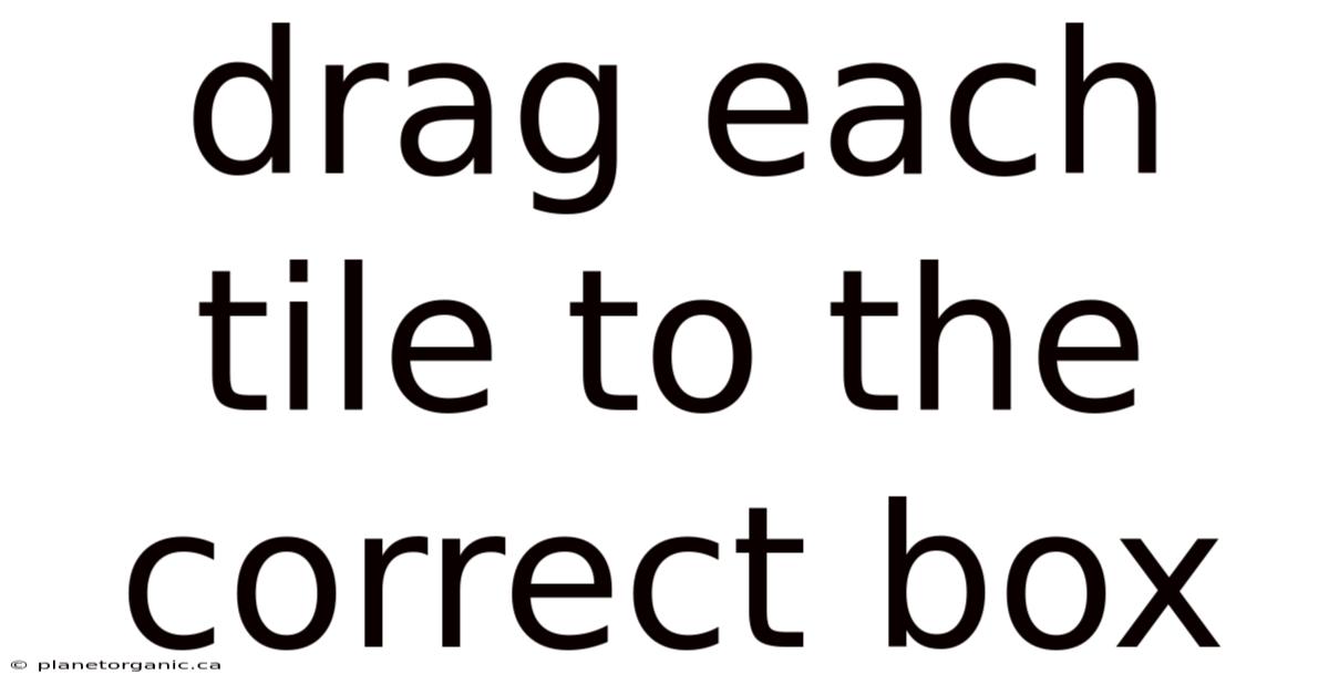 Drag Each Tile To The Correct Box