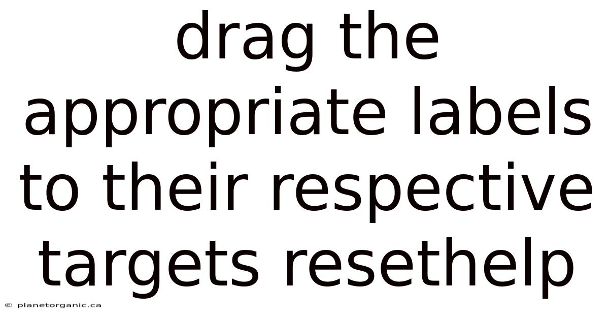 Drag The Appropriate Labels To Their Respective Targets Resethelp