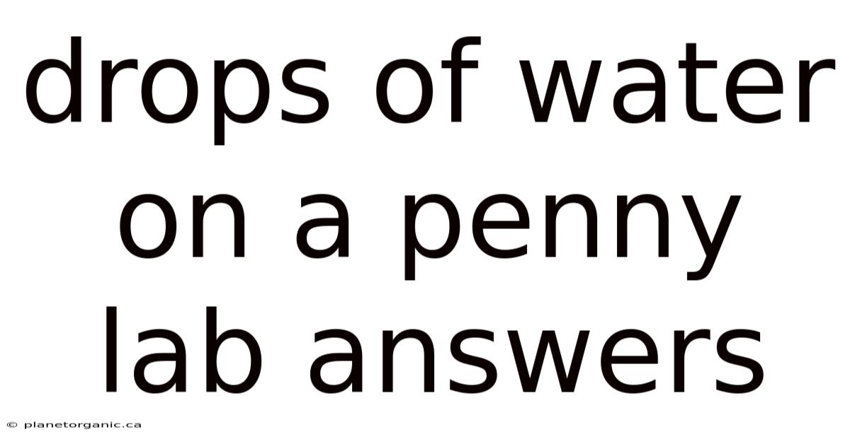Drops Of Water On A Penny Lab Answers