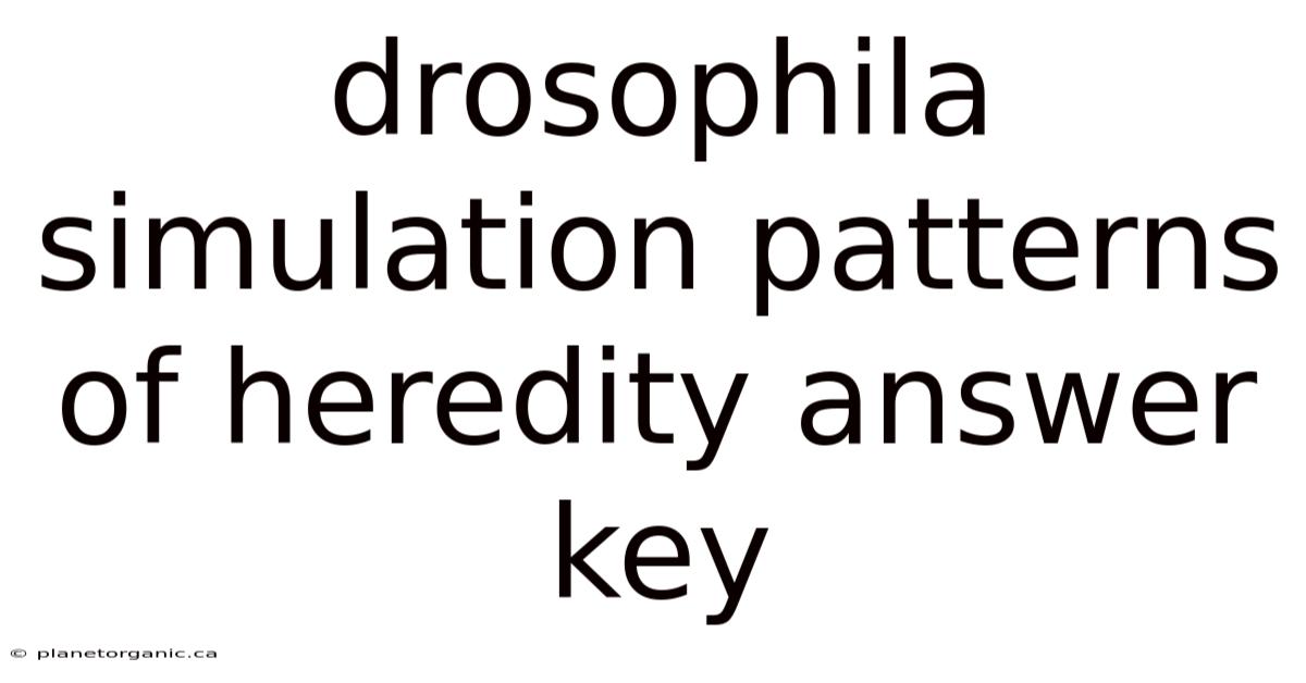 Drosophila Simulation Patterns Of Heredity Answer Key