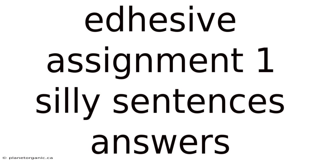 Edhesive Assignment 1 Silly Sentences Answers