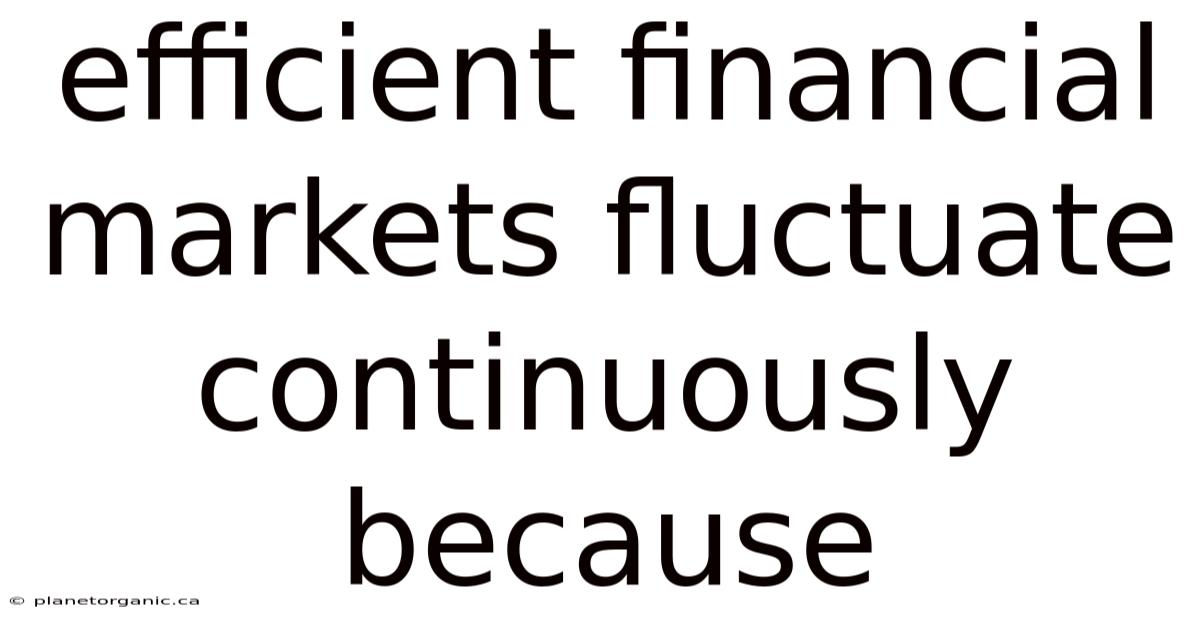 Efficient Financial Markets Fluctuate Continuously Because