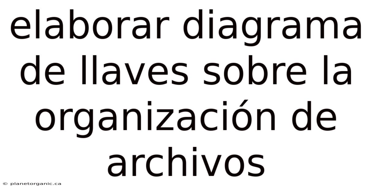 Elaborar Diagrama De Llaves Sobre La Organización De Archivos