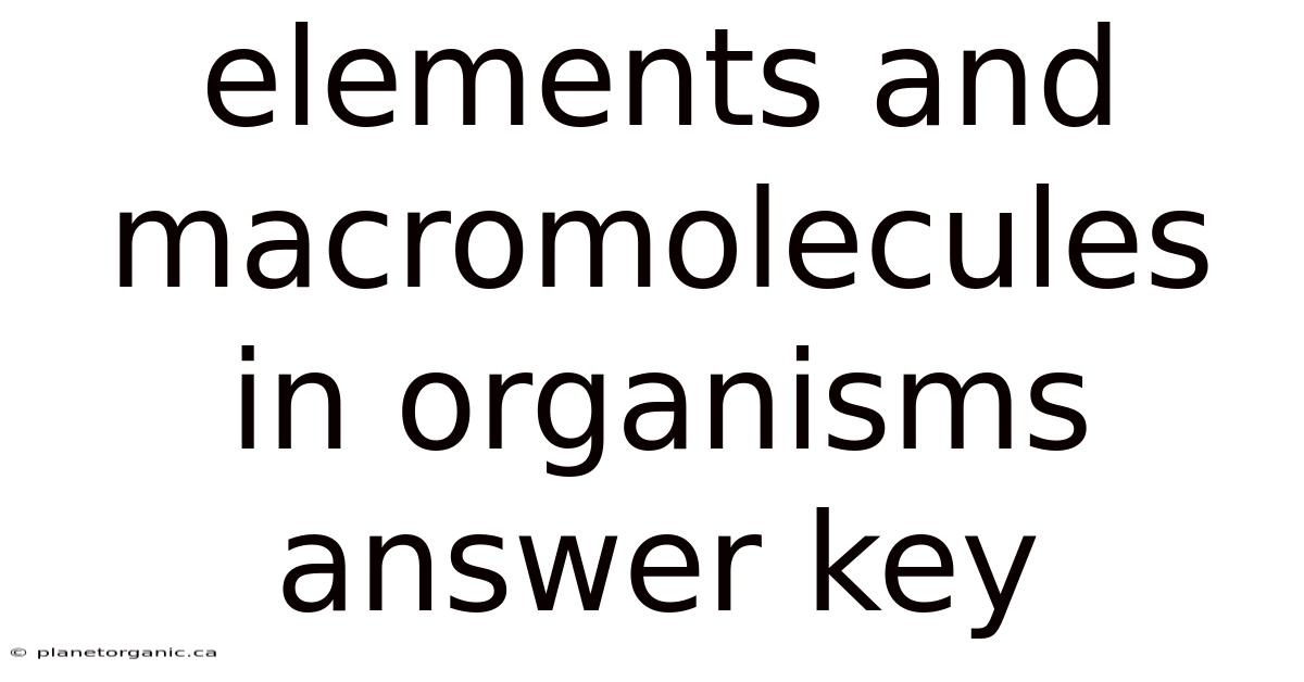 Elements And Macromolecules In Organisms Answer Key