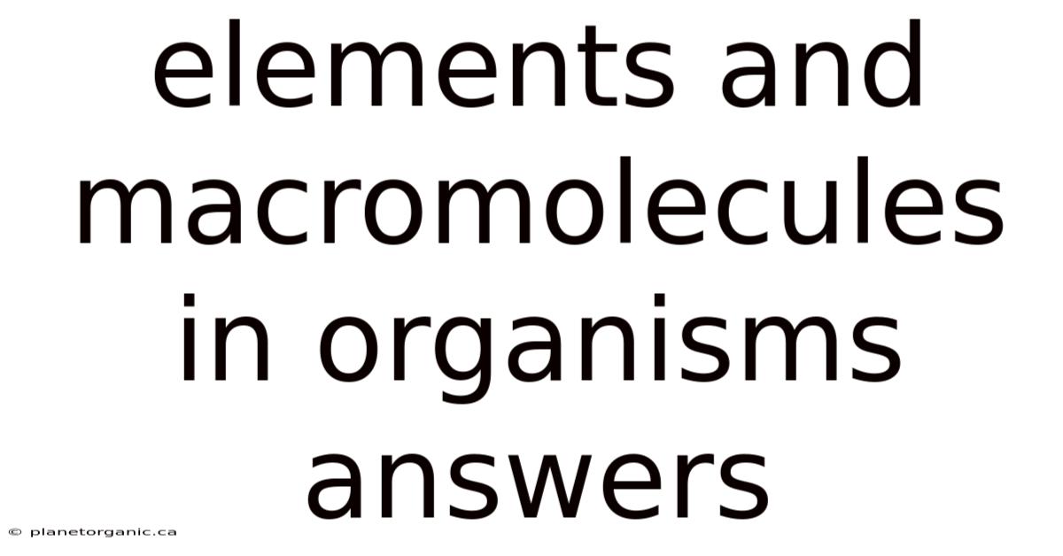 Elements And Macromolecules In Organisms Answers