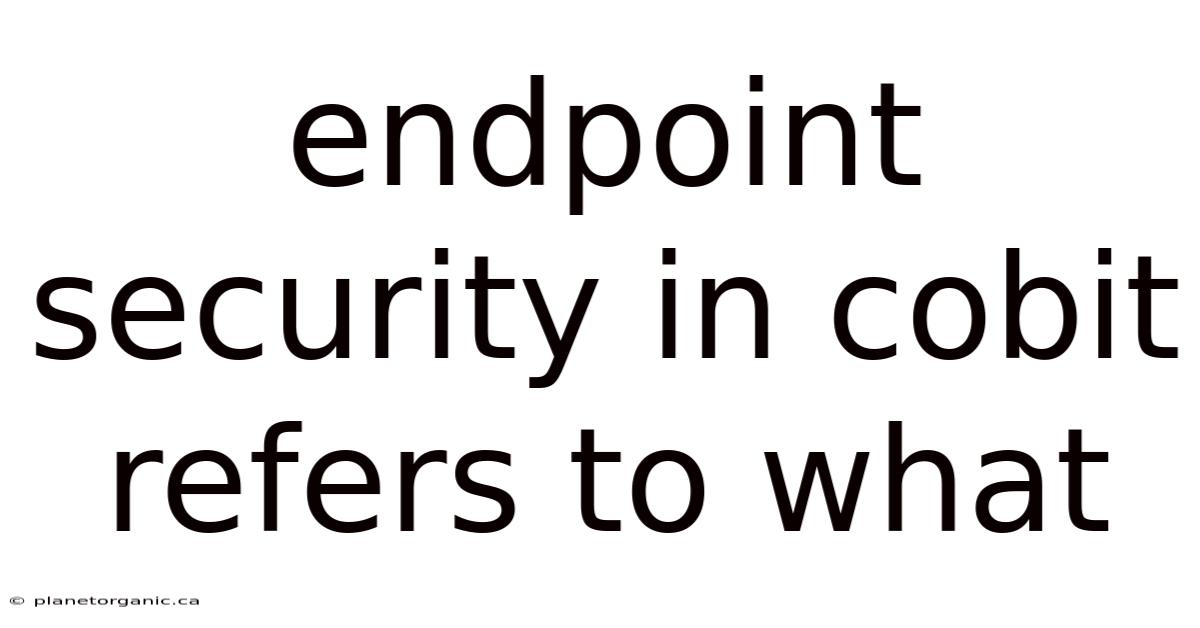 Endpoint Security In Cobit Refers To What