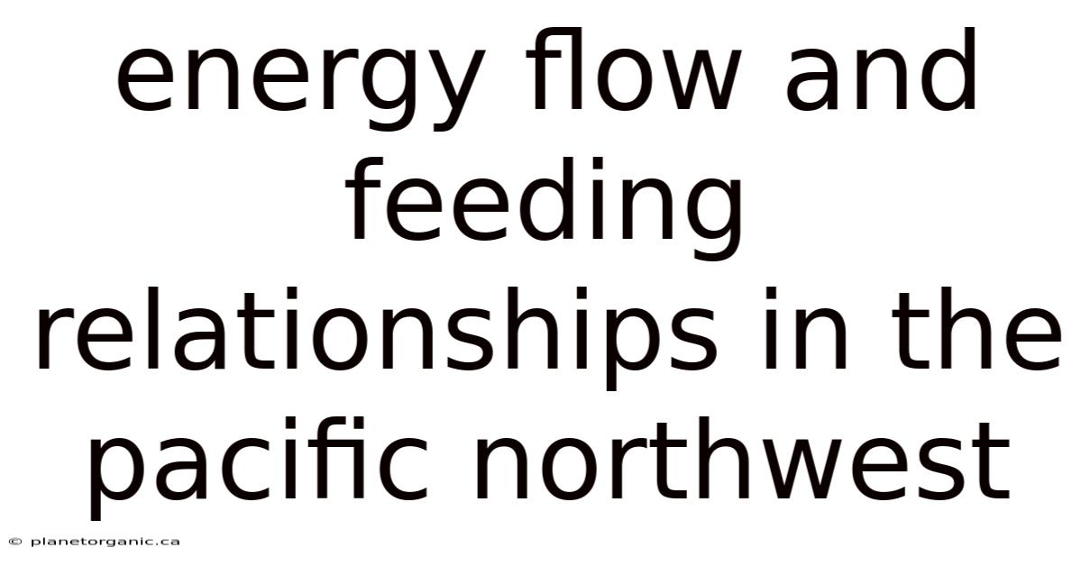 Energy Flow And Feeding Relationships In The Pacific Northwest