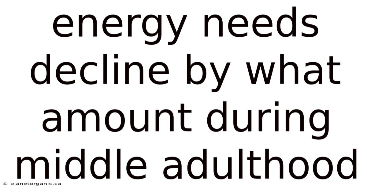 Energy Needs Decline By What Amount During Middle Adulthood