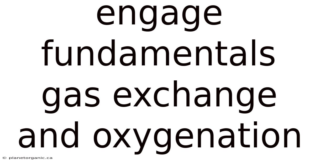 Engage Fundamentals Gas Exchange And Oxygenation