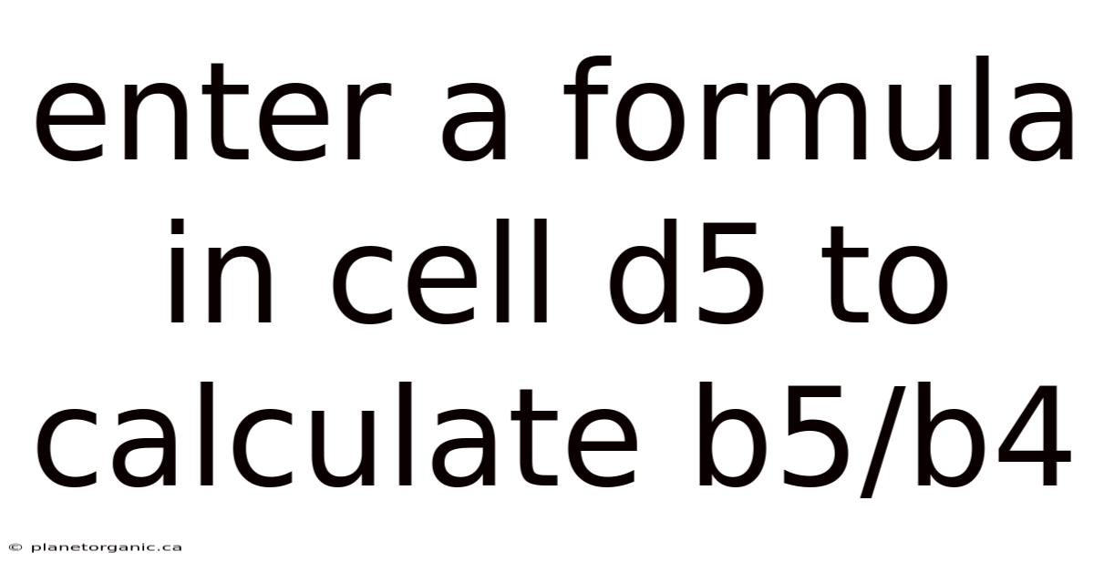 Enter A Formula In Cell D5 To Calculate B5/b4