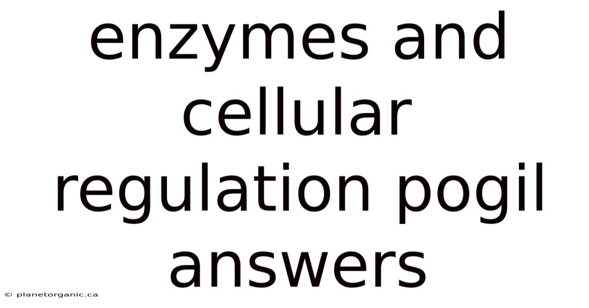 Enzymes And Cellular Regulation Pogil Answers