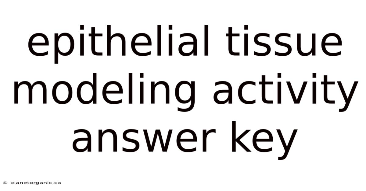 Epithelial Tissue Modeling Activity Answer Key