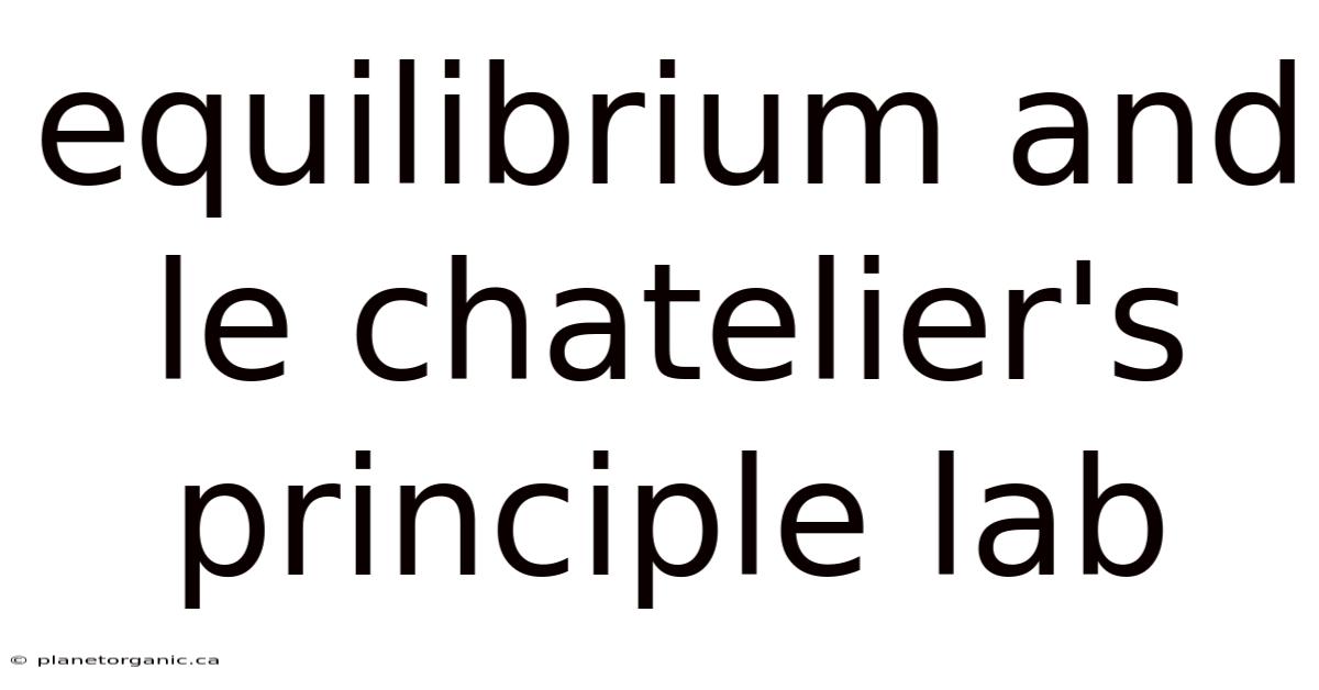 Equilibrium And Le Chatelier's Principle Lab