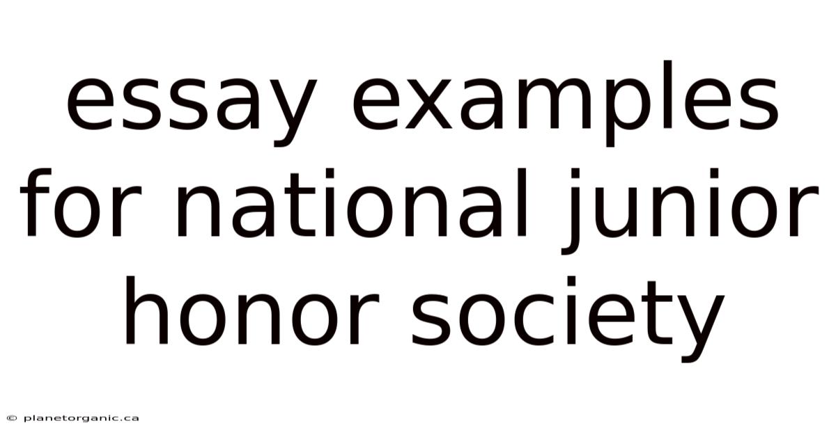 Essay Examples For National Junior Honor Society