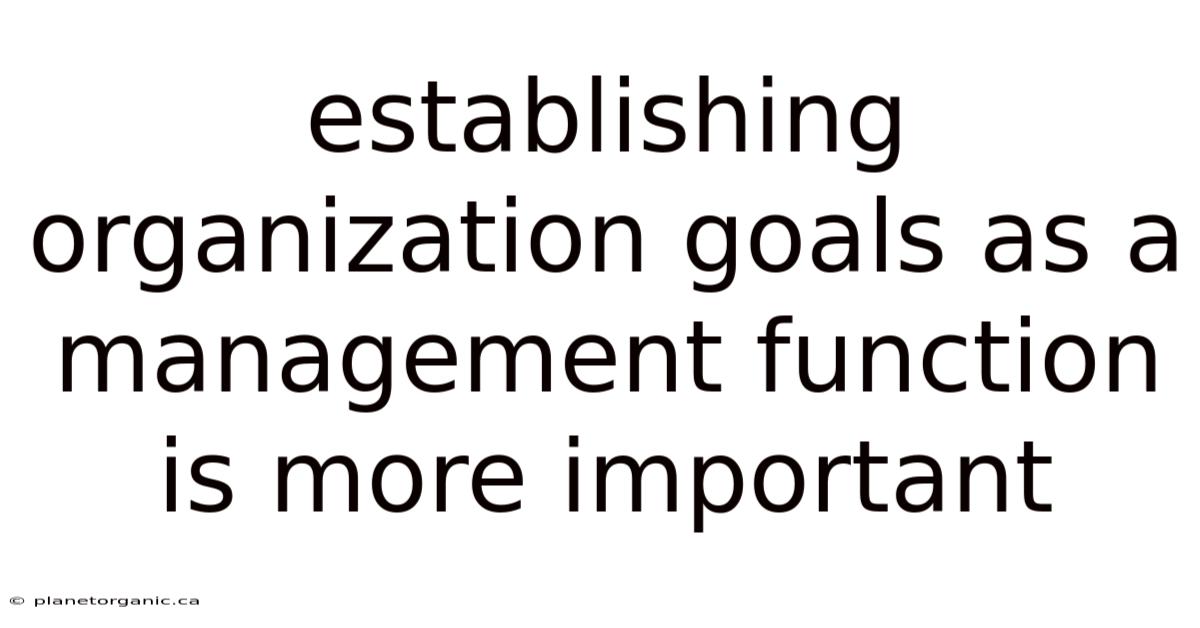 Establishing Organization Goals As A Management Function Is More Important