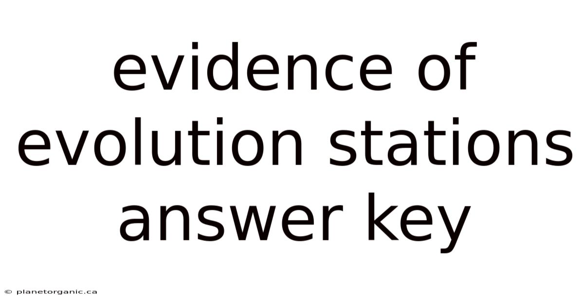 Evidence Of Evolution Stations Answer Key