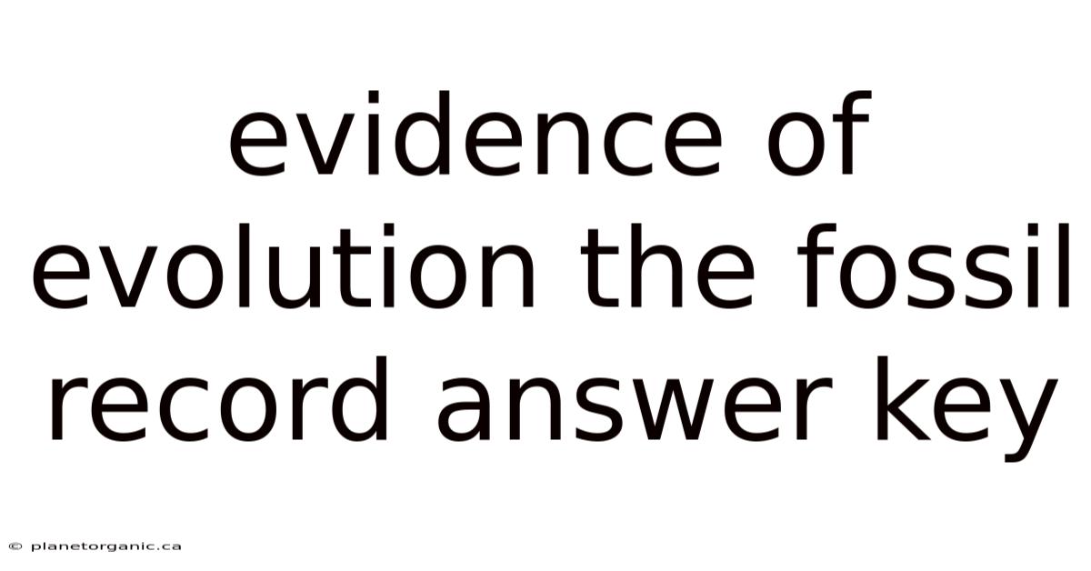 Evidence Of Evolution The Fossil Record Answer Key