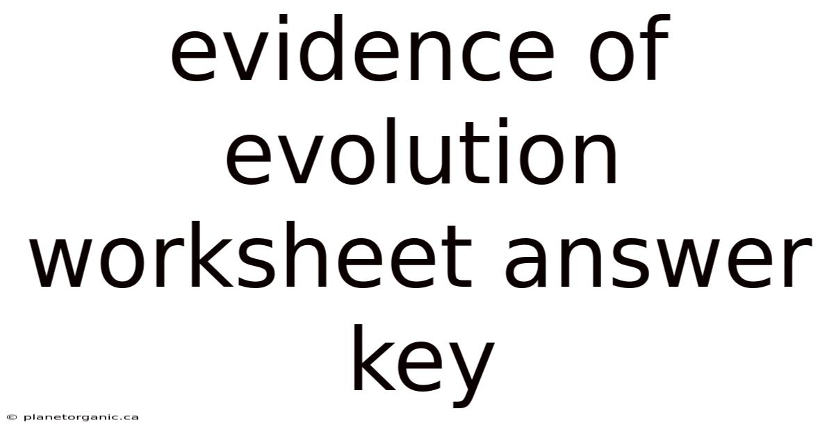 Evidence Of Evolution Worksheet Answer Key