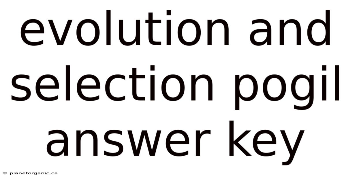 Evolution And Selection Pogil Answer Key