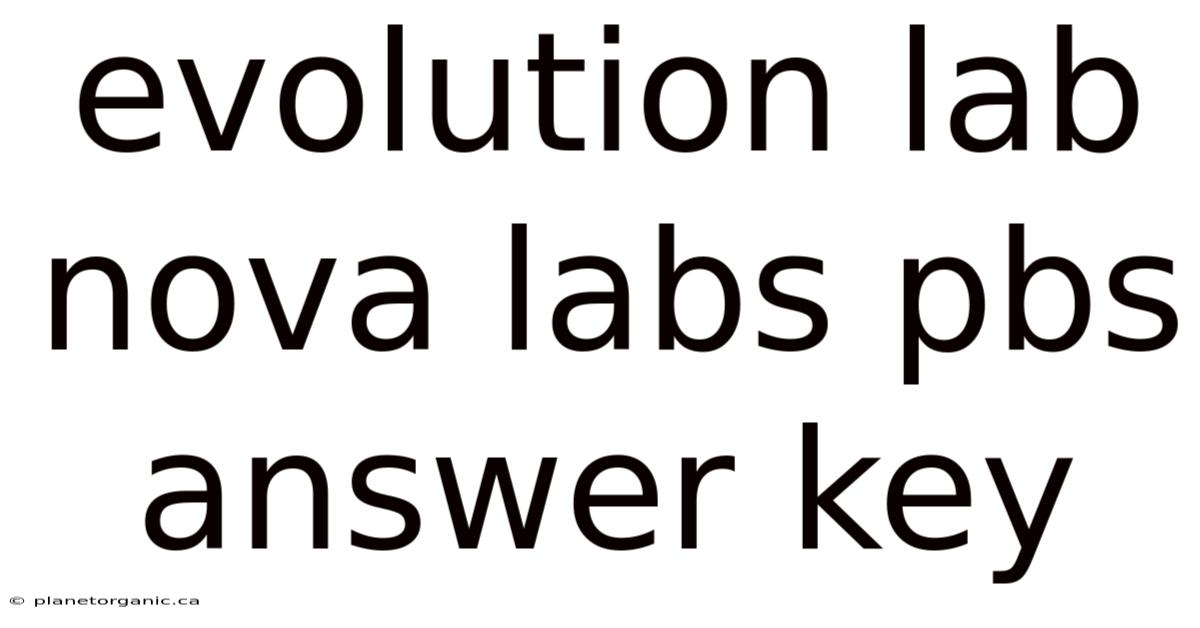 Evolution Lab Nova Labs Pbs Answer Key
