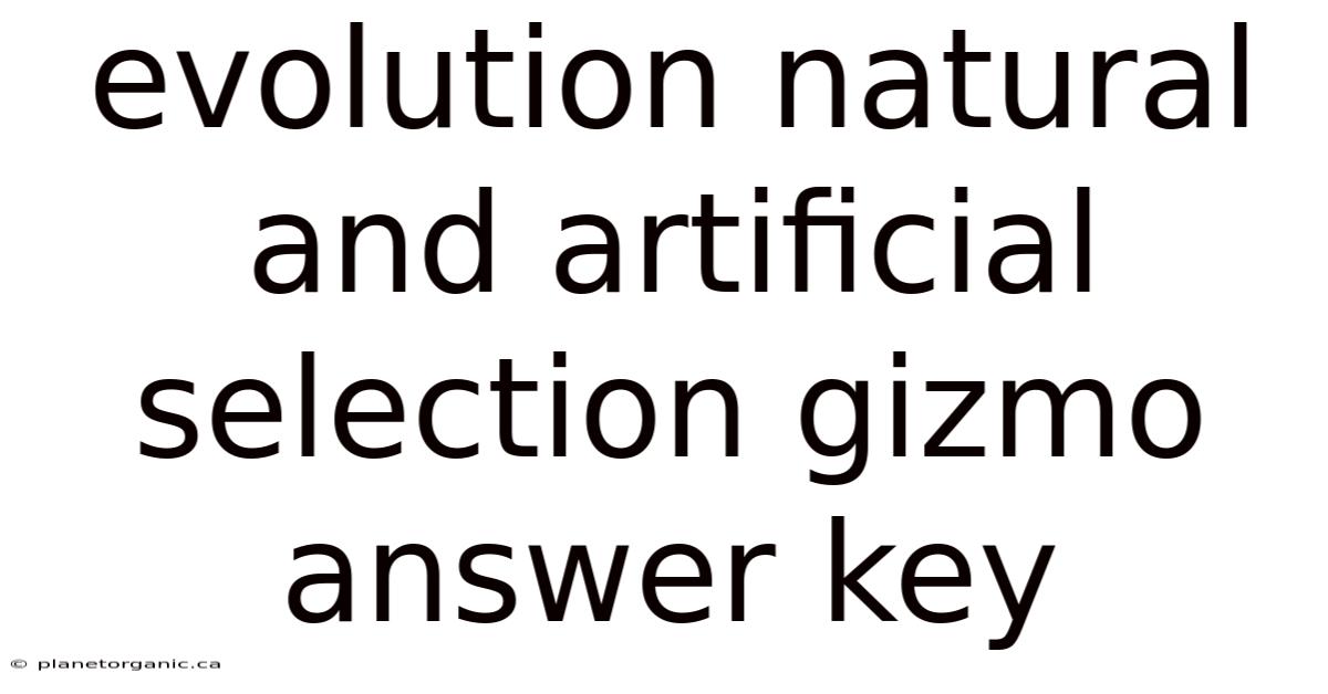 Evolution Natural And Artificial Selection Gizmo Answer Key