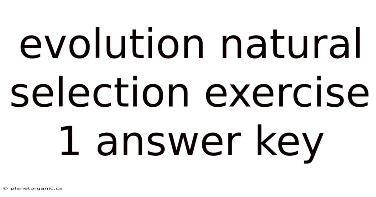 Evolution Natural Selection Exercise 1 Answer Key