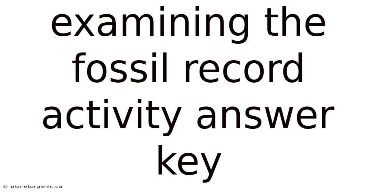 Examining The Fossil Record Activity Answer Key