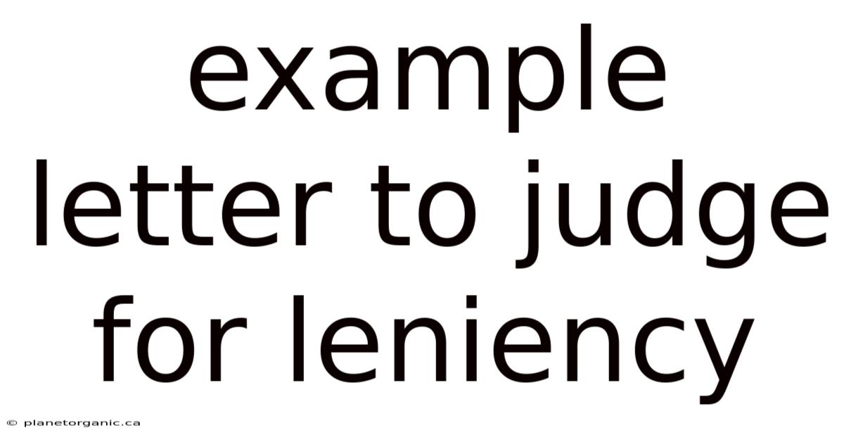 Example Letter To Judge For Leniency