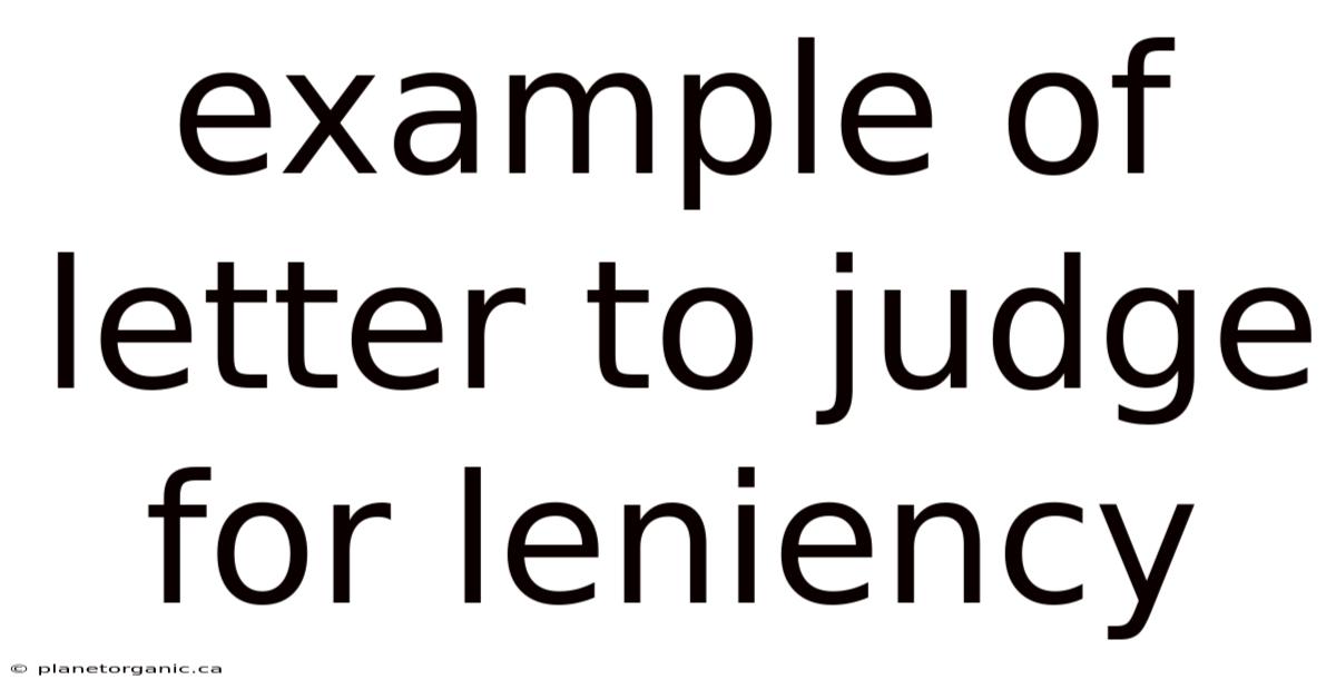 Example Of Letter To Judge For Leniency