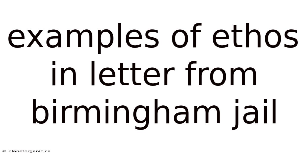Examples Of Ethos In Letter From Birmingham Jail
