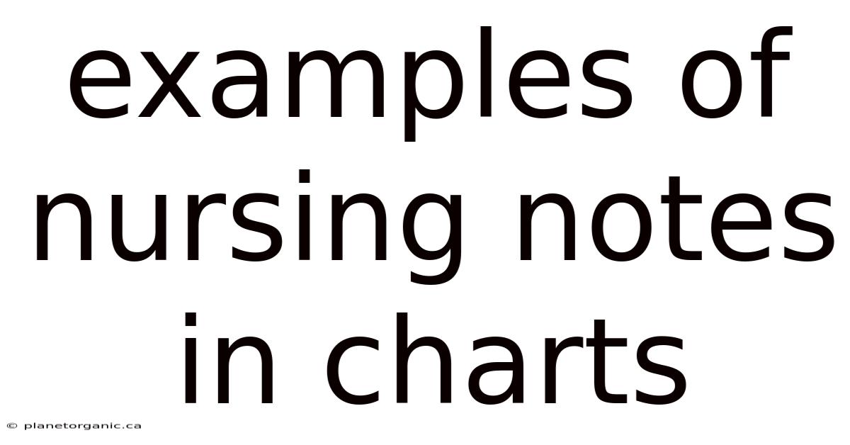 Examples Of Nursing Notes In Charts